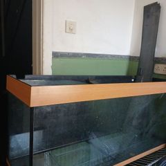 fish tank rio jewel