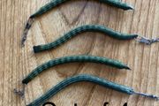 Sets of 4  X 6  GRAM wriggle weights for salmon &amp; trout