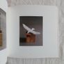 Tracey Emin: You Left Me Breathing (2008 Book) - Contemporary Art Book - Tracey Emin Book Image 2