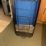 cage Image 2