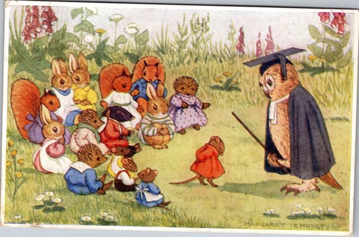 Margaret Tempest  The Village School  1941 Postcard Medici Owl Animals DB