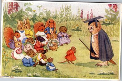 Margaret Tempest  The Village School  1941 Postcard Medici Owl Animals DB