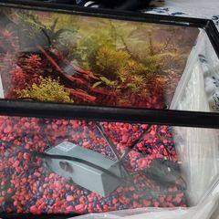 Aquarium