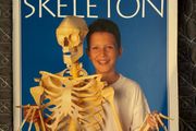 Vintage Make Life-Size Skeleton Book