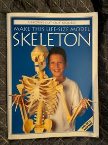 Vintage Make Life-Size Skeleton Book