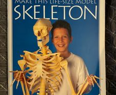 Vintage Make Life-Size Skeleton Book