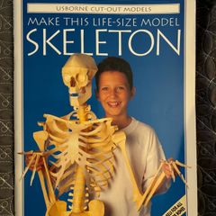 Vintage Make Life-Size Skeleton Book