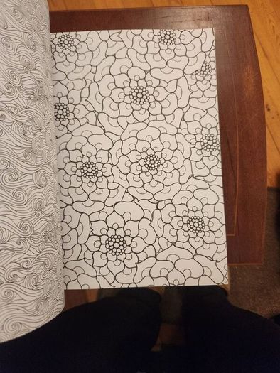 The Flowers And Nature Colouring Book.  Large Volume Paperback In Good Condition.