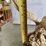 Varnished Resin Golden Eagle Figurine On Wooden Round Plinth. Image 7