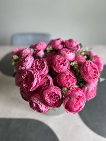 Pink pheony flowers