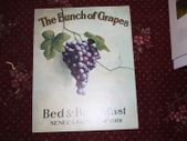 The Bunch Of Grapes