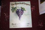 The Bunch Of Grapes