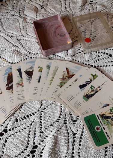 Vintage birds cards