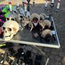 Large Halloween Job Lot. Image 3