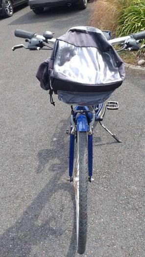 Raleigh Pioneer 1 ladies bike
