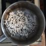 Popcorn 'Black Dakota' Irish Seeds Image 2