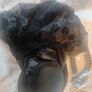 Gothic Costume Image 8