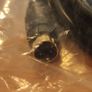 S-Video cable 10m Image 3