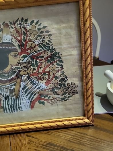 Egyptian picture papyrus