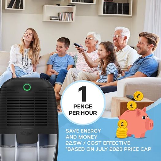 Dehumidifier 600ml, Small and Compact Moisture Absorber - Mini Air Dehumidifier for Home, Bedroom Damp, Office, Garage & Basement - Portable Electric Mould, Damp and Condensation Remover