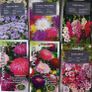 Over 100 different type of seeds at 1.00 euro per pack Image 2