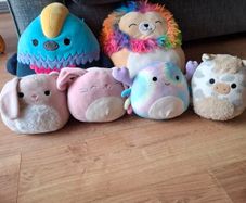 Squishmallow teddys