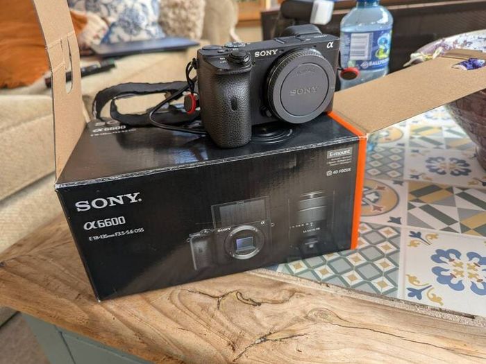 sony alpha a6600