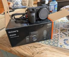 sony alpha a6600