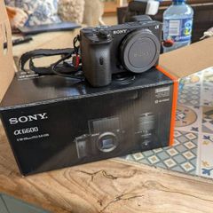 sony alpha a6600