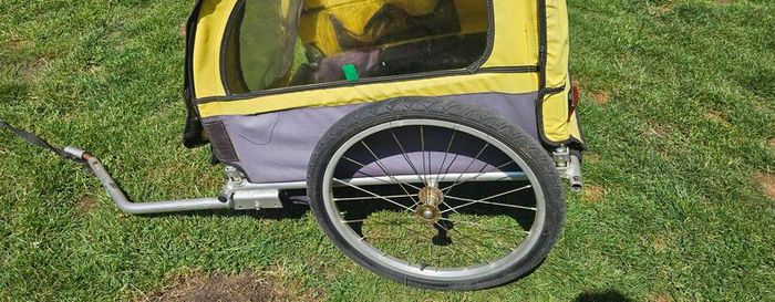 bicycle buggy