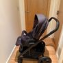 Buggy Image 2
