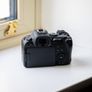 Canon Eos R6 Image 3