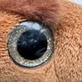 Mammoth Soft Toy By Petjes World Used damaged eyes Please look at the pictures Image 2