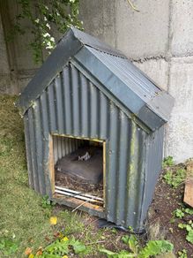Galvanised Dog Shed FREE