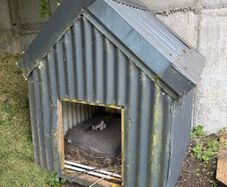 Galvanised Dog Shed FREE