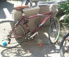 adult bike for sale
