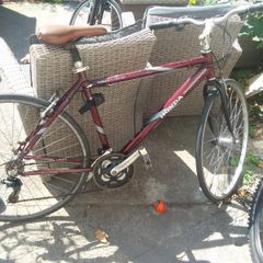 adult bike for sale