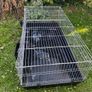 Giant Guinea pig/rabbit cage Image 3