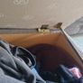 3 Seater sofa with footstool (with storage) NEED GONE TODAY Image 5