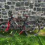 Bicycle Element with a warranty Image 2
