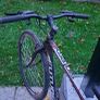 mans bike Image 4