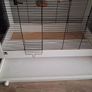 Large bird cage for parrots Image 3