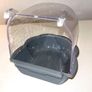 Bird Bath. Bird Tub. Image 5