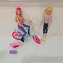 Barbie Collection  Individual Or Bundle Image 4