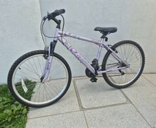 Ladies Bicycle