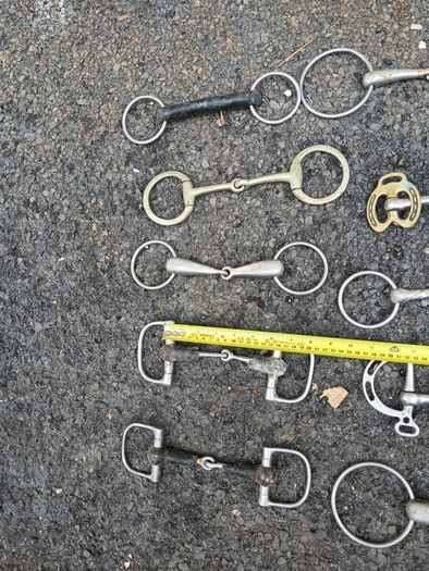 horse bits
