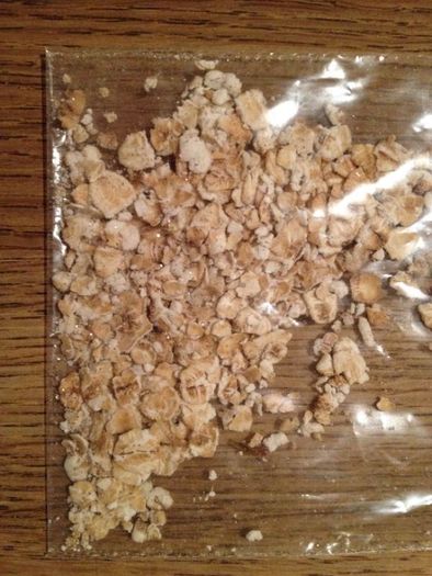 Reindeer food!