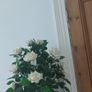 artificial plant Image 3