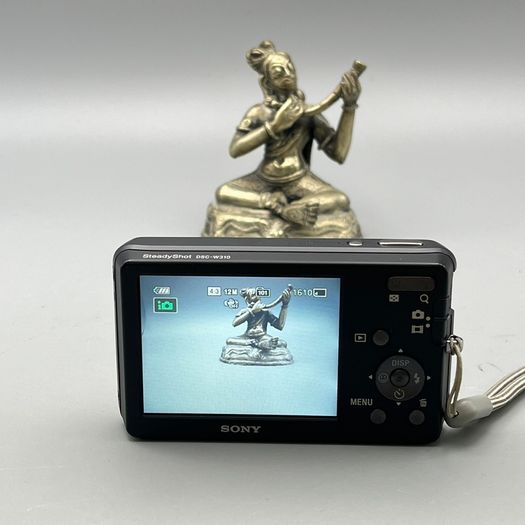 Sony DSC-W310 12.1MP Digital Camera Black - Full Kit