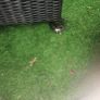 Garden Furniture Image 3